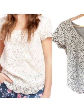 Aritzia  * Talula Betsy  Lace Short Sleeve Blouse Taupe color size Small